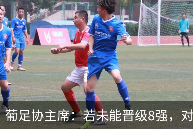 葡足协主席：若未能晋级8强，对葡萄牙来说将是糟糕的世界杯之旅